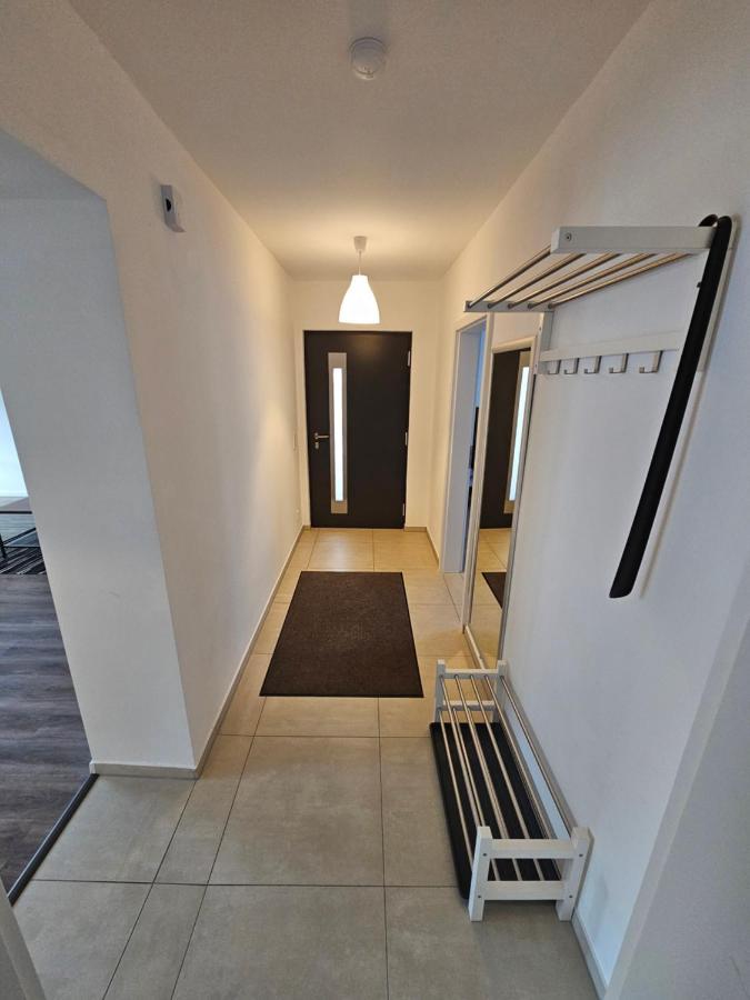 Eule Apartment Mainz